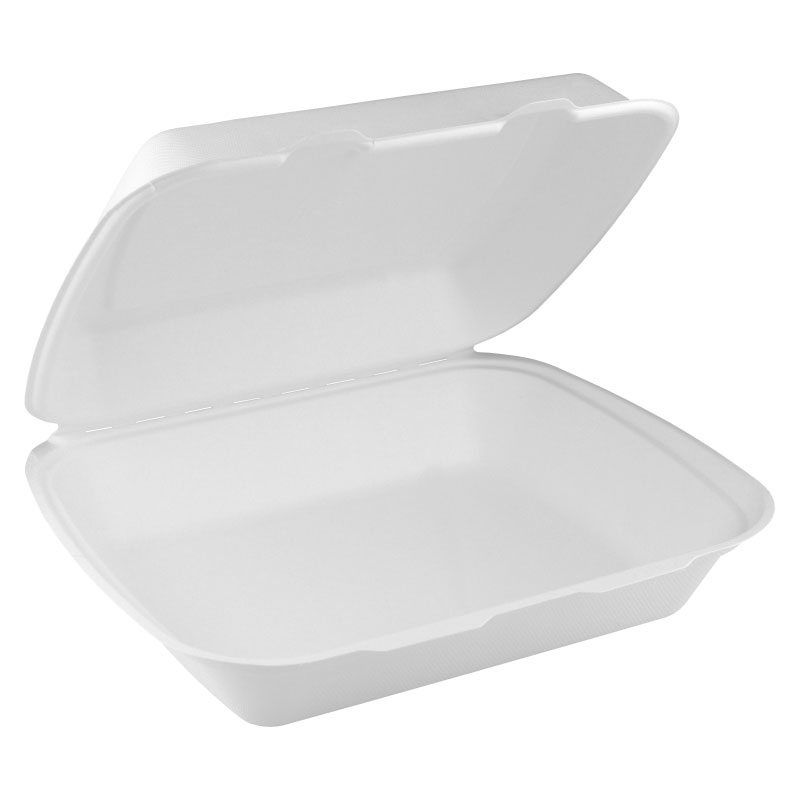 Menübox Bagasse ungeteilt 24 x 21 x 7 cm weiß