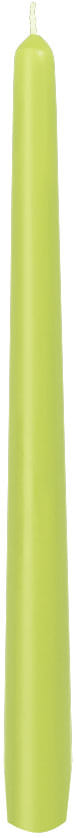 Leuchterkerzen Ø 22 mm Höhe 25 cm kiwi