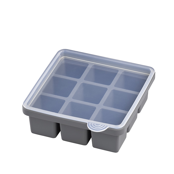 APS Eiswürfelform mit Deckel, Eiswürfelgröße: 4 x 4 x 4 cm, 2er Set