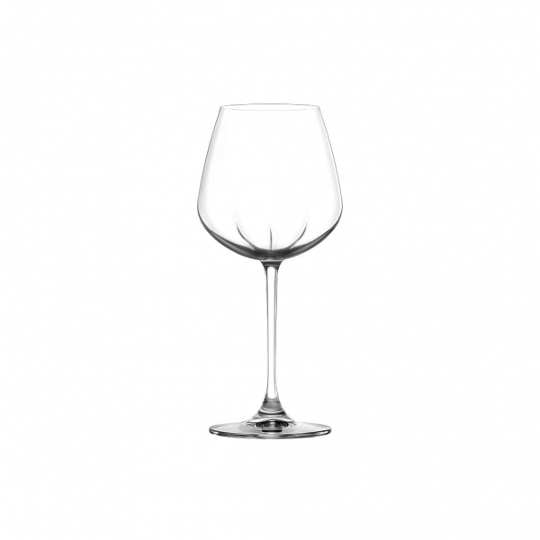 6x RAK Rich Weißweinglas Ø 9,6 cm Ht. 21,6 cm Inh. 48,5 cl DESIRE (LS10RW17)