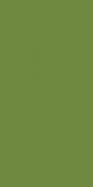DUNI Zelltuchservietten 33 x 33 cm 1/8 Buchfalz Leaf Green 3-lagig (186396)