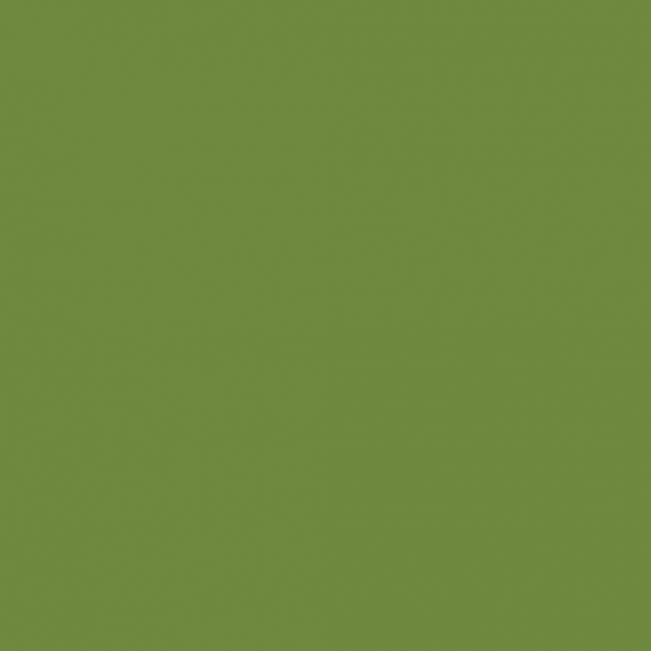 DUNI Zelltuchservietten 33 x 33 cm 1/4 Falz Leaf Green 3-lagig (186365)